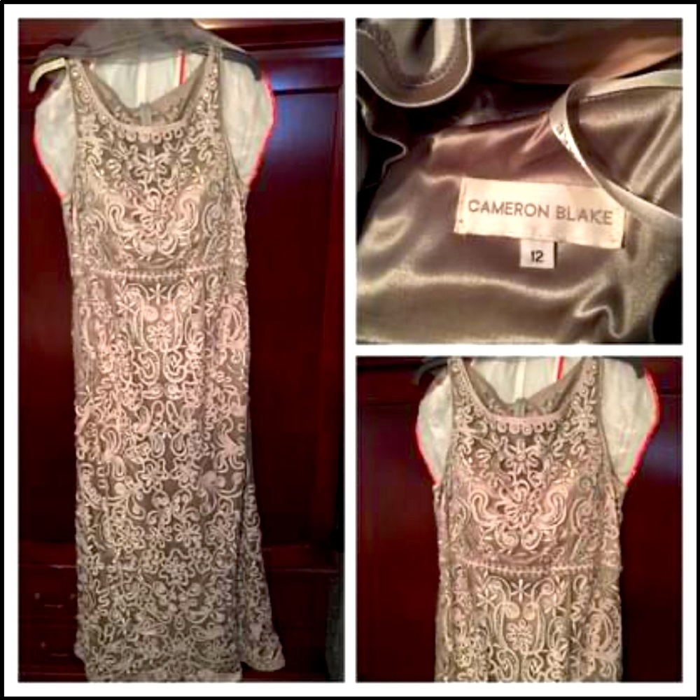 CAMERON BLAKE Formal Gown Gray Lace. Sz 12